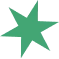 Green Star Icon